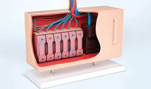 即时处理的发电话软件app